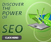 SEO Service