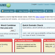 Domain Names & Registration