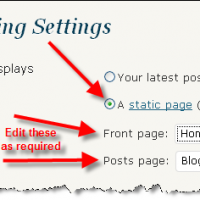 Using a Static Page AND a Blog Page